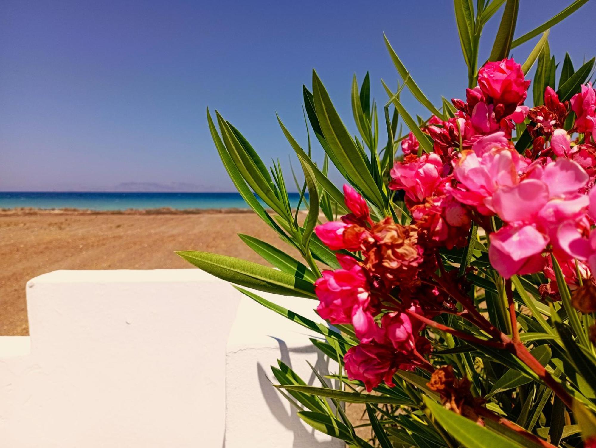 Nautilus Beach House Paradeísion Dış mekan fotoğraf